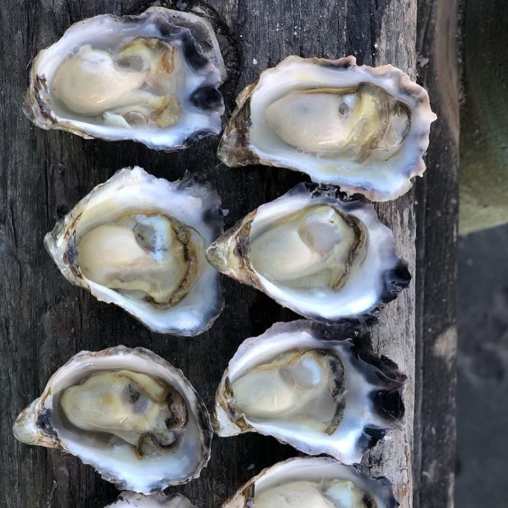 Christmas Oysters